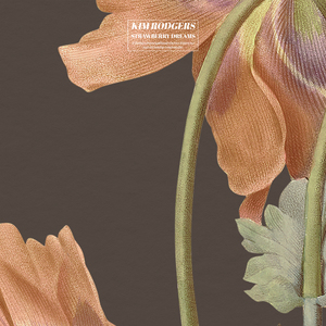 最美儿媳妇陈柔小说全文阅读
